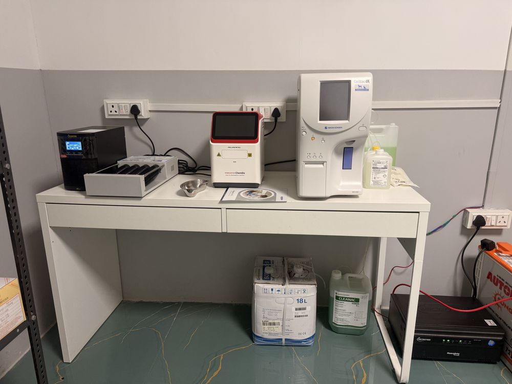 Veterinary diagnostic and blood testing area at Hasku & Tails
